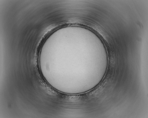 X0000112100832200908041509