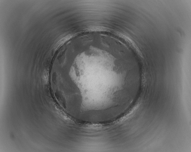 X0000112100833200908041509