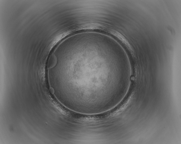 X0000112100834200908041509