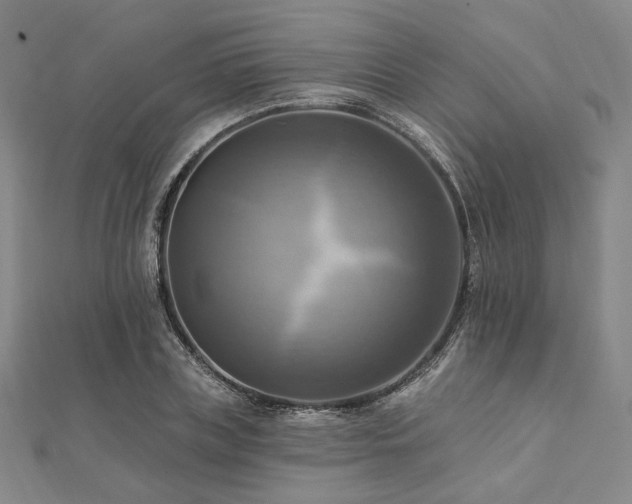 X0000112100835200908041509