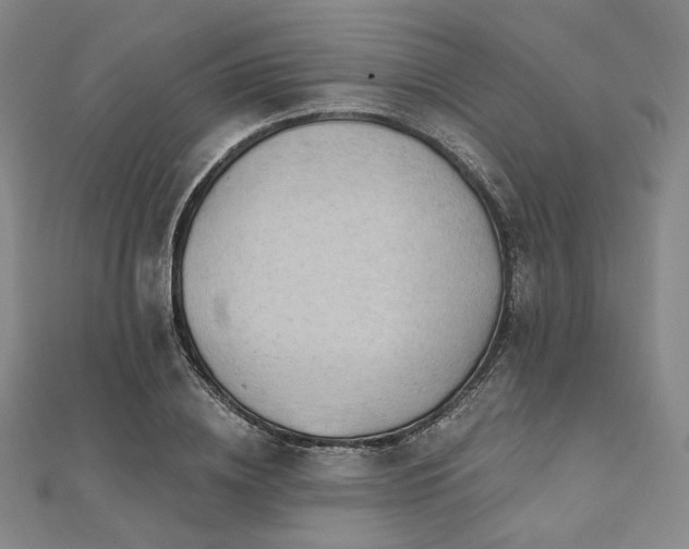 X0000112100836200908041509