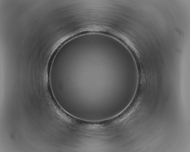 X0000112100837200908041509