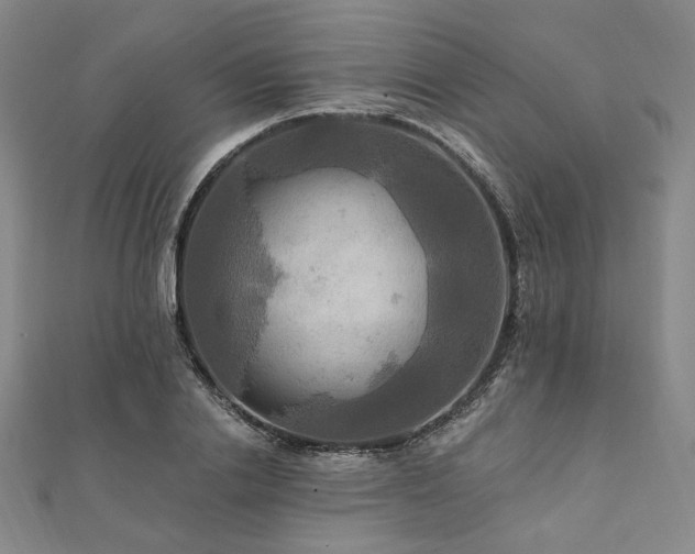 X0000112100838200908041509