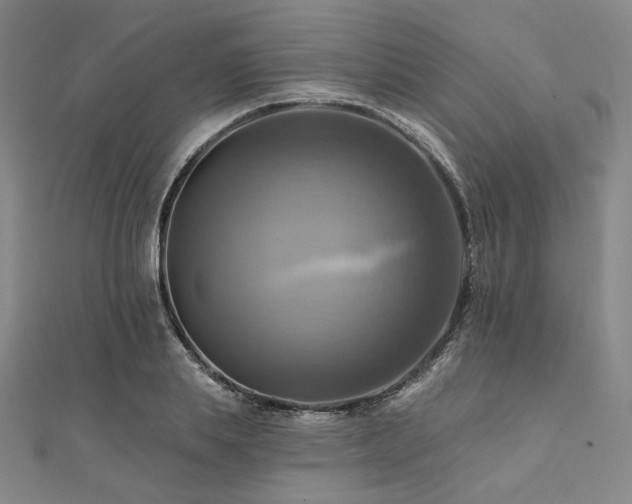 X0000112100839200908041509
