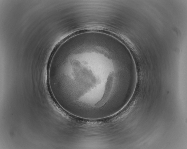 X0000112100840200908041509