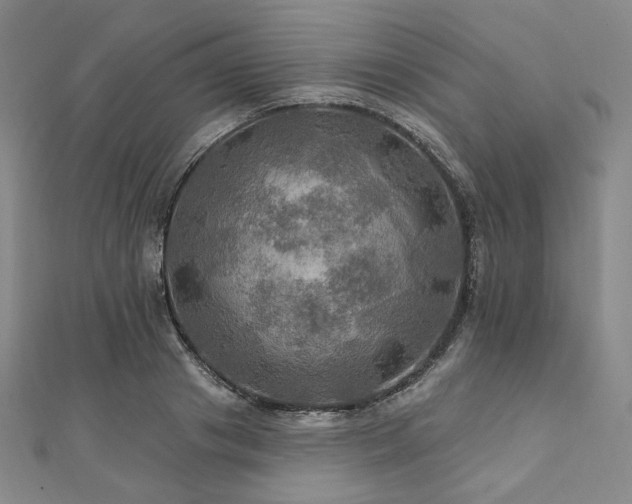 X0000112100841200908041509