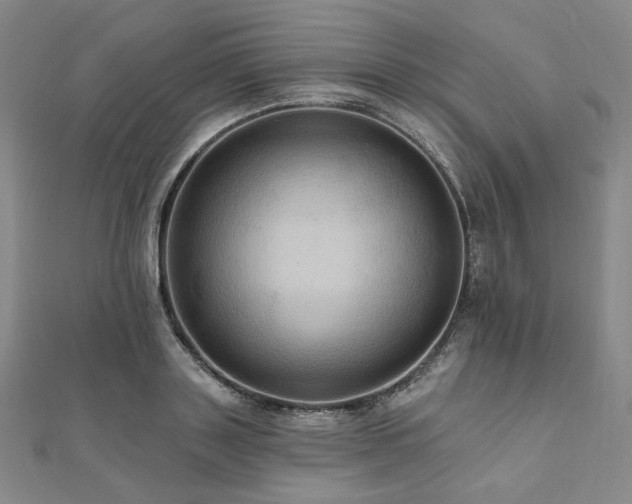 X0000112100843200908041509