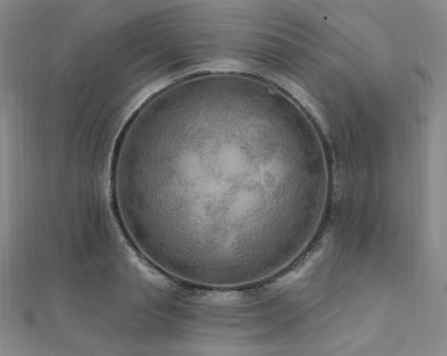 X0000112100845200908041509