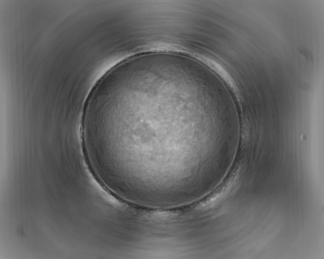 X0000112100847200908041509