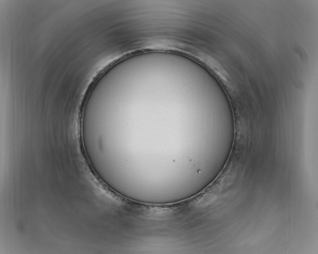 X0000112100848200908041509