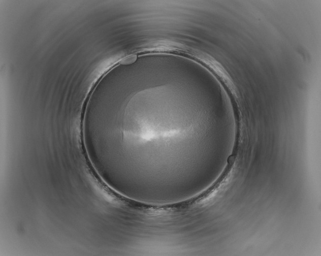 X0000112100850200908041509