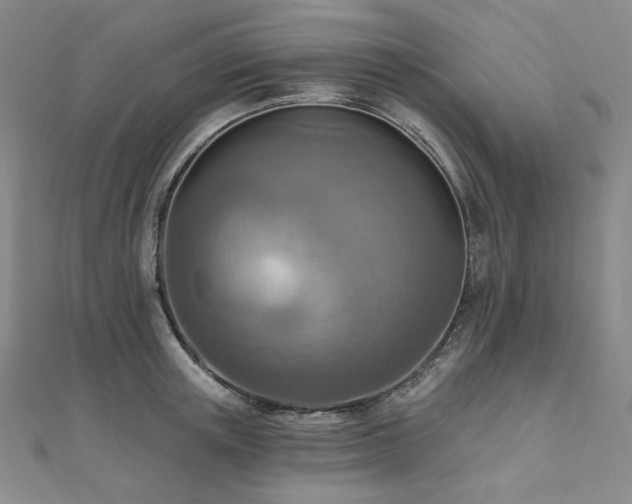 X0000112100851200908041509