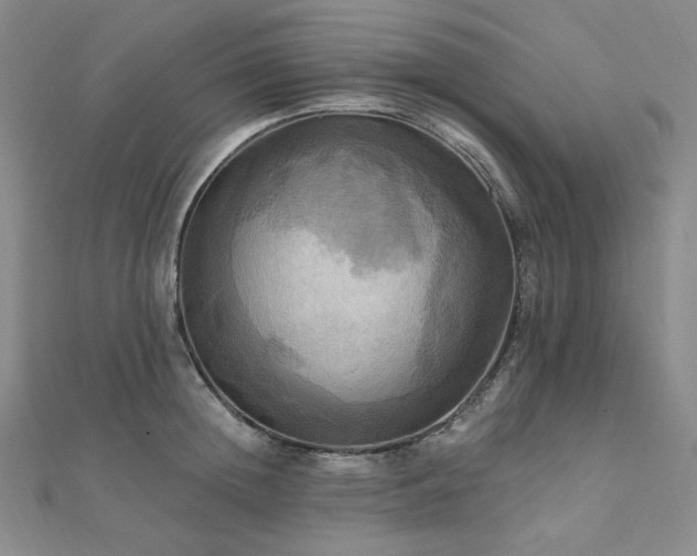 X0000112100852200908041509