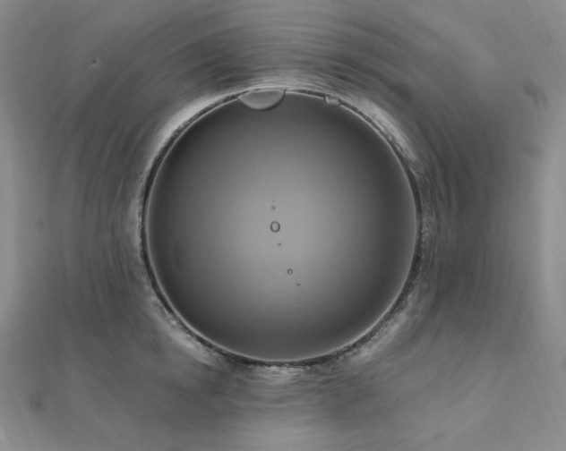 X0000112100854200908041509