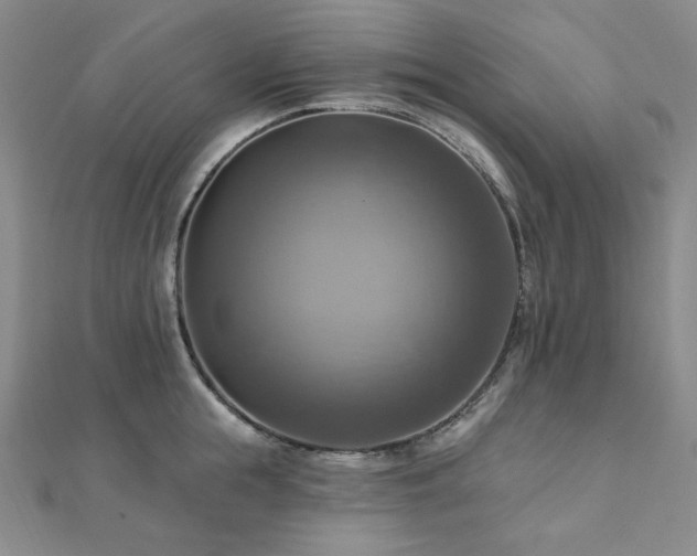 X0000112100855200908041509