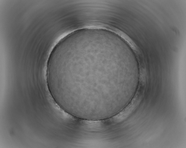 X0000112100856200908041509