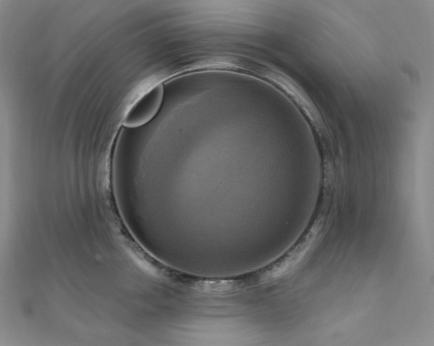 X0000112100858200908041509