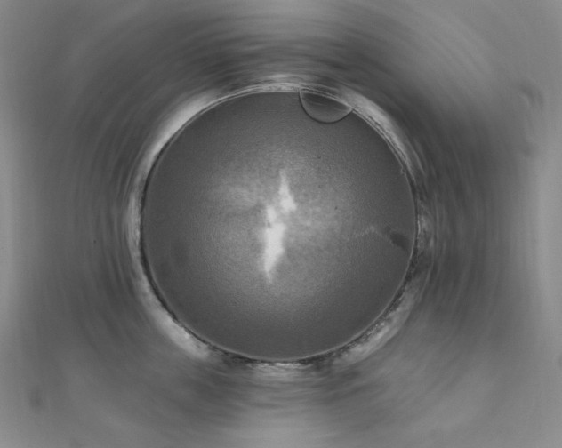 X0000112100859200908041509