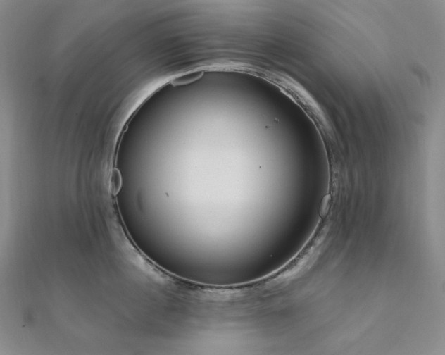 X0000112100860200908041509