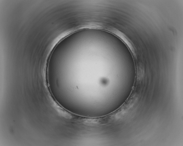 X0000112100861200908041509