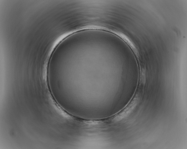 X0000112100862200908041509