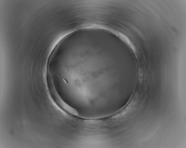 X0000112100863200908041509