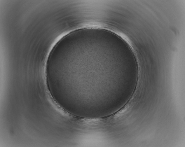 X0000112100864200908041509