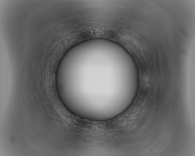 X0000112100865200908041509