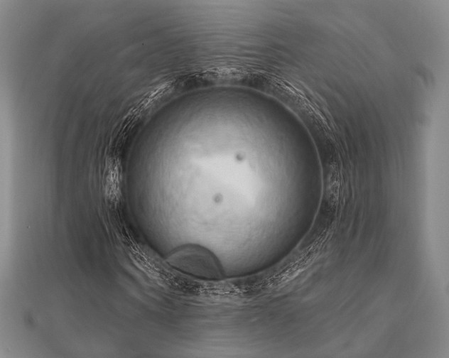 X0000112100866200908041509