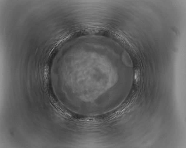 X0000112100867200908041509