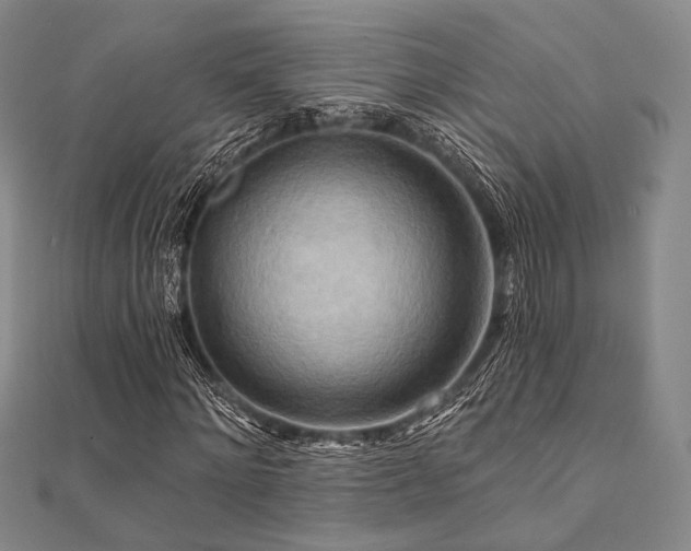 X0000112100868200908041509