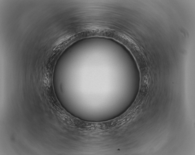 X0000112100869200908041509