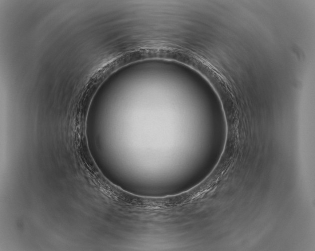 X0000112100870200908041509
