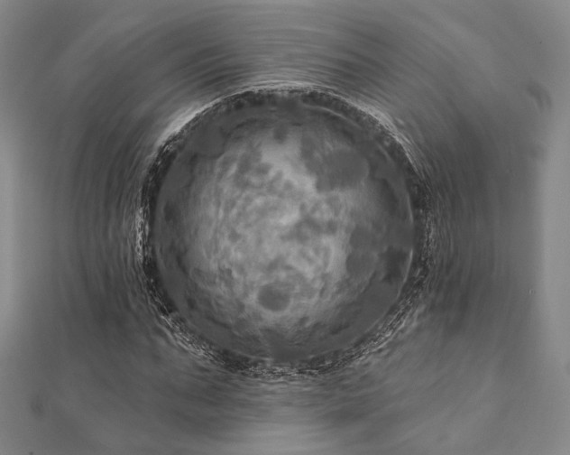 X0000112100871200908041509