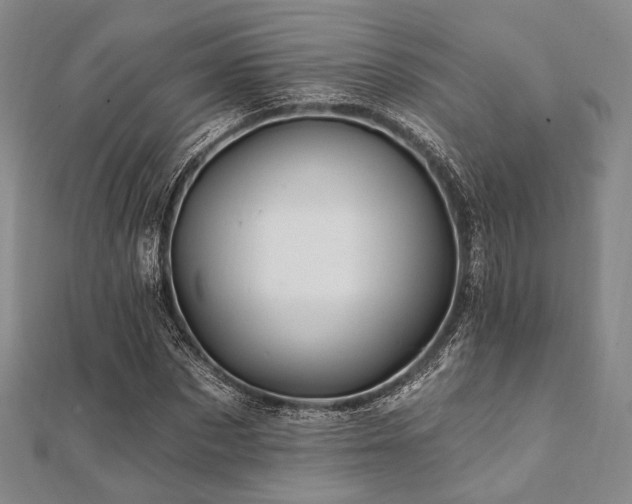 X0000112100873200908041509