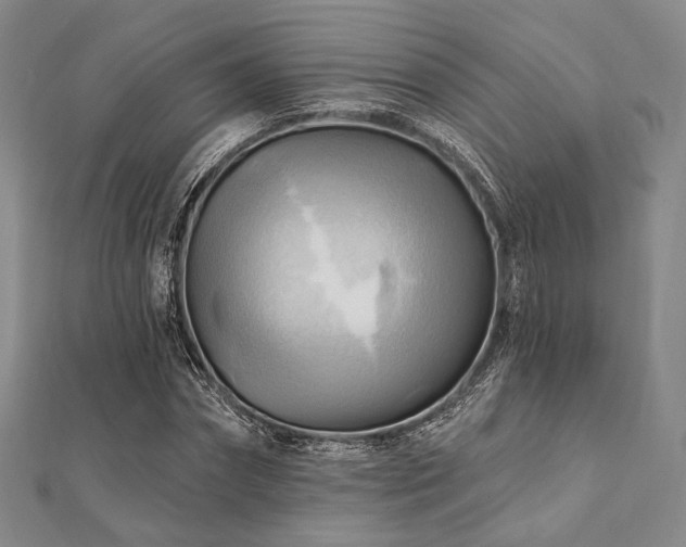 X0000112100874200908041509
