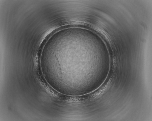 X0000112100875200908041509