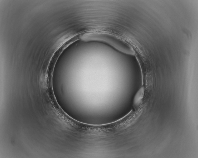 X0000112100876200908041509