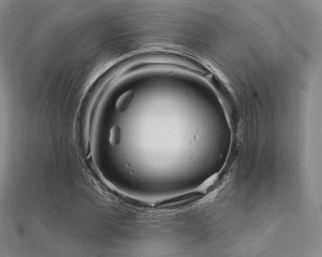 X0000112100877200908041509