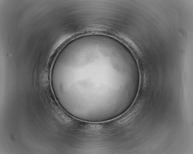 X0000112100878200908041509