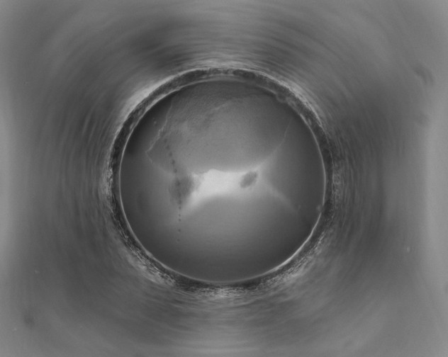 X0000112100879200908041509
