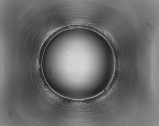 X0000112100880200908041509
