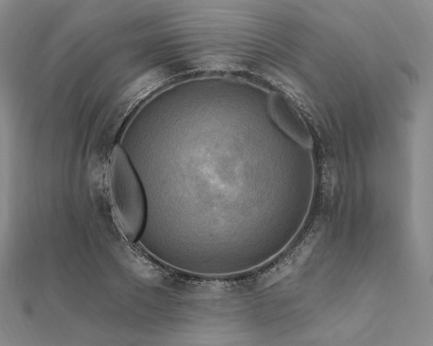 X0000112100881200908041509