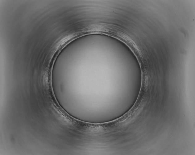 X0000112100882200908041509