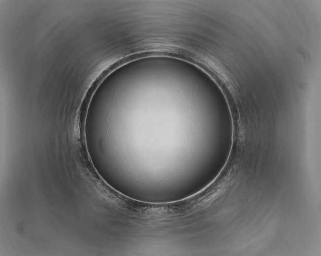 X0000112100883200908041509