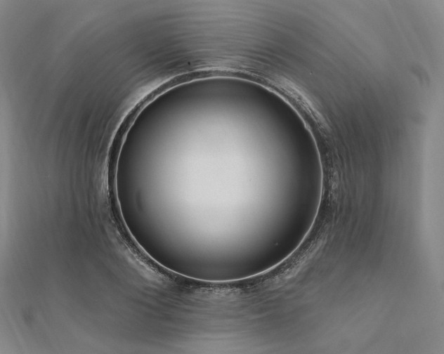 X0000112100884200908041509