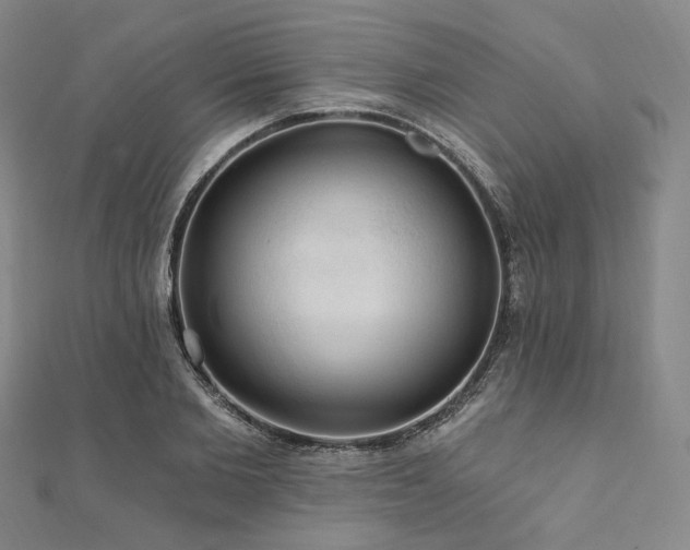 X0000112100885200908041509