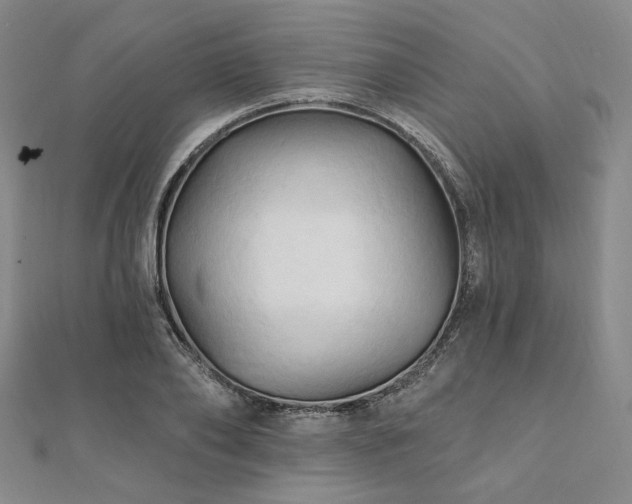 X0000112100886200908041509