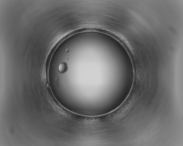 X0000112100887200908041509