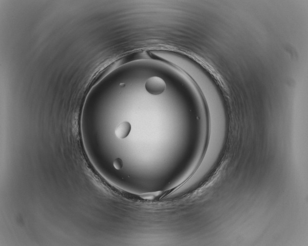 X0000112100889200908041509